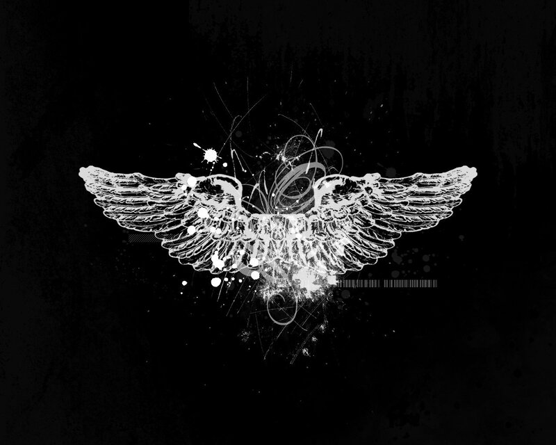 White Wings on Black — Dark