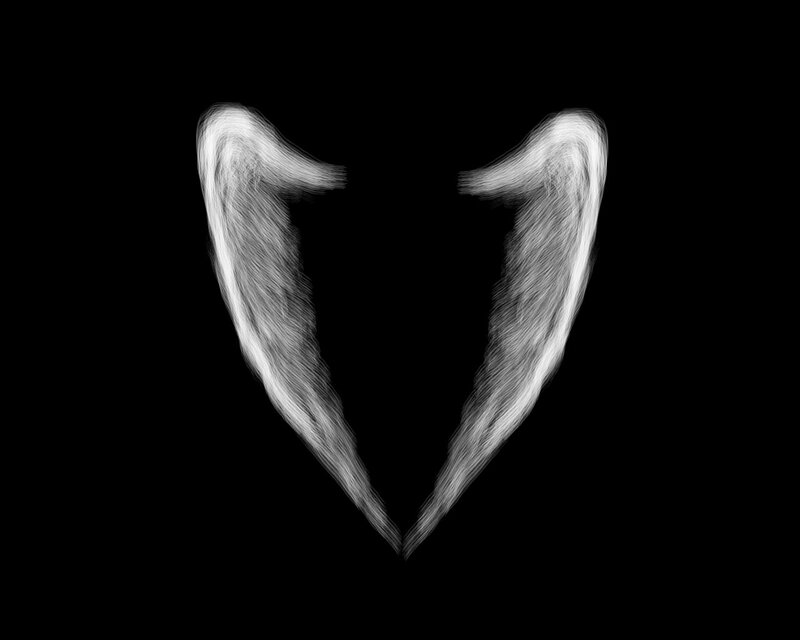 white wings on black