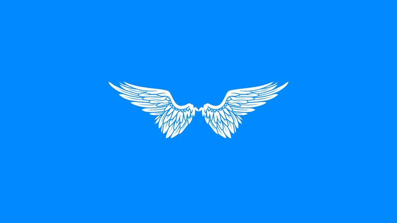 white wings on blue background