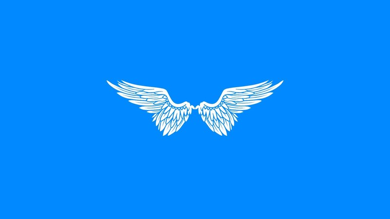 White Wings on Blue