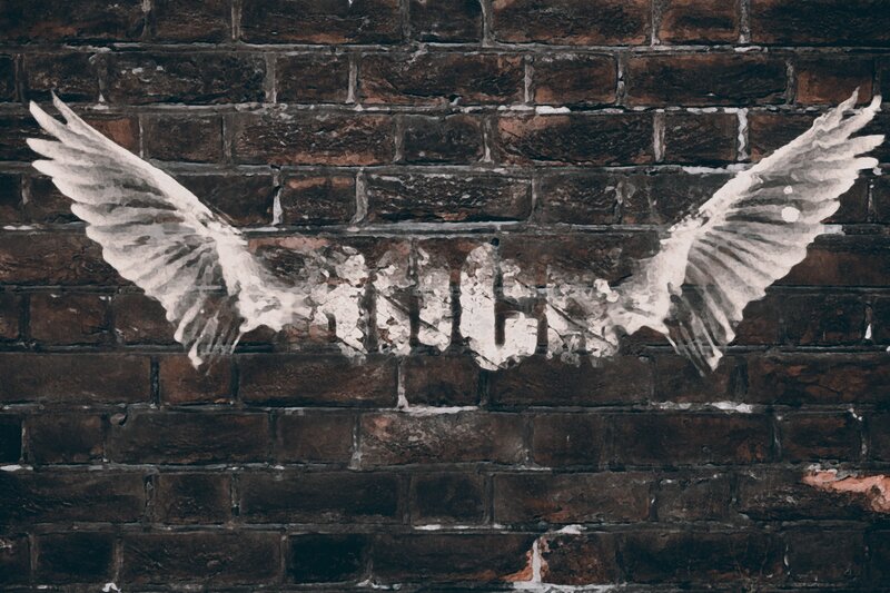 White Wings on Brick Wall