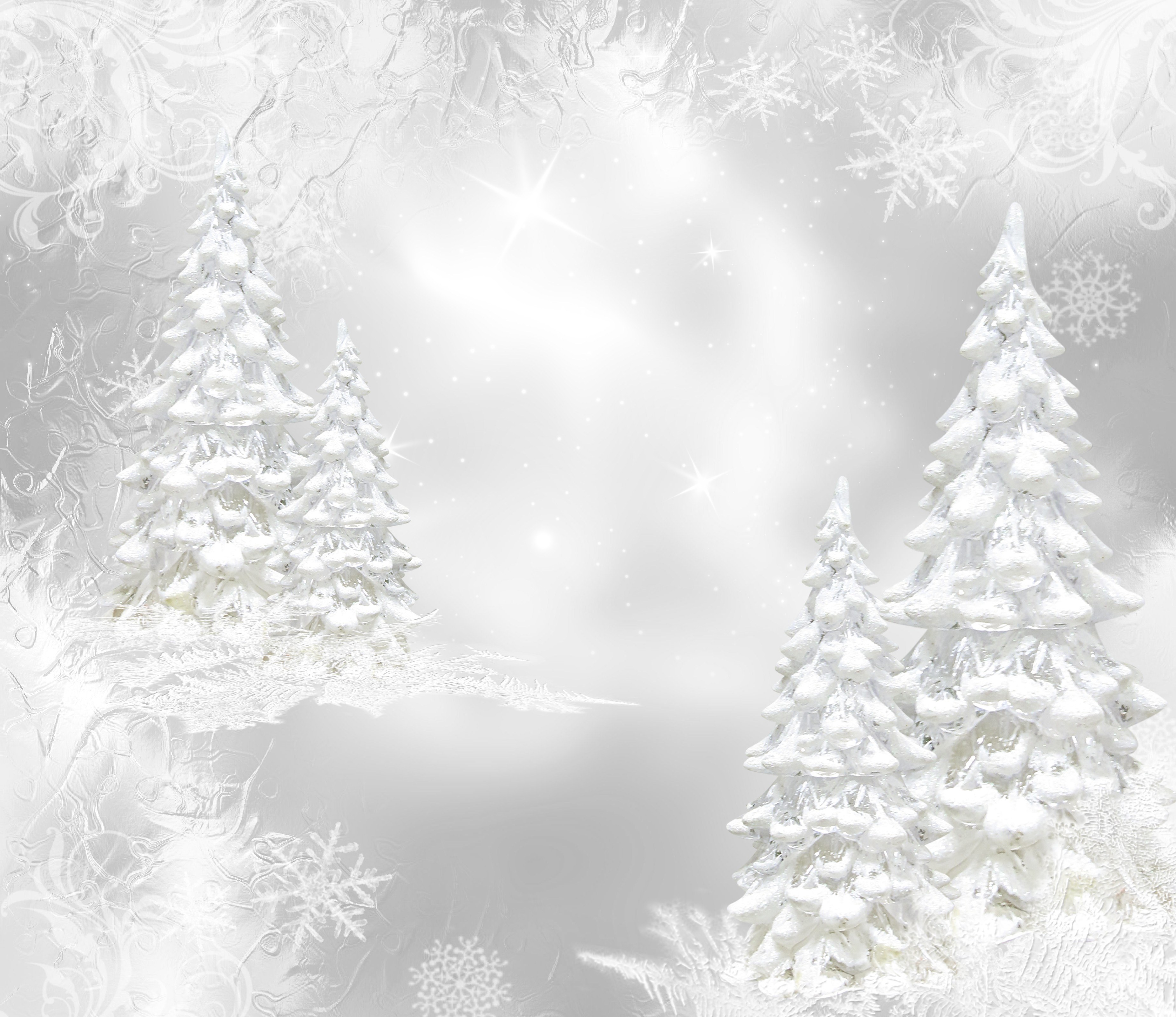 white winter forest scene
