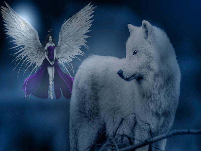 White Wolf and Angel