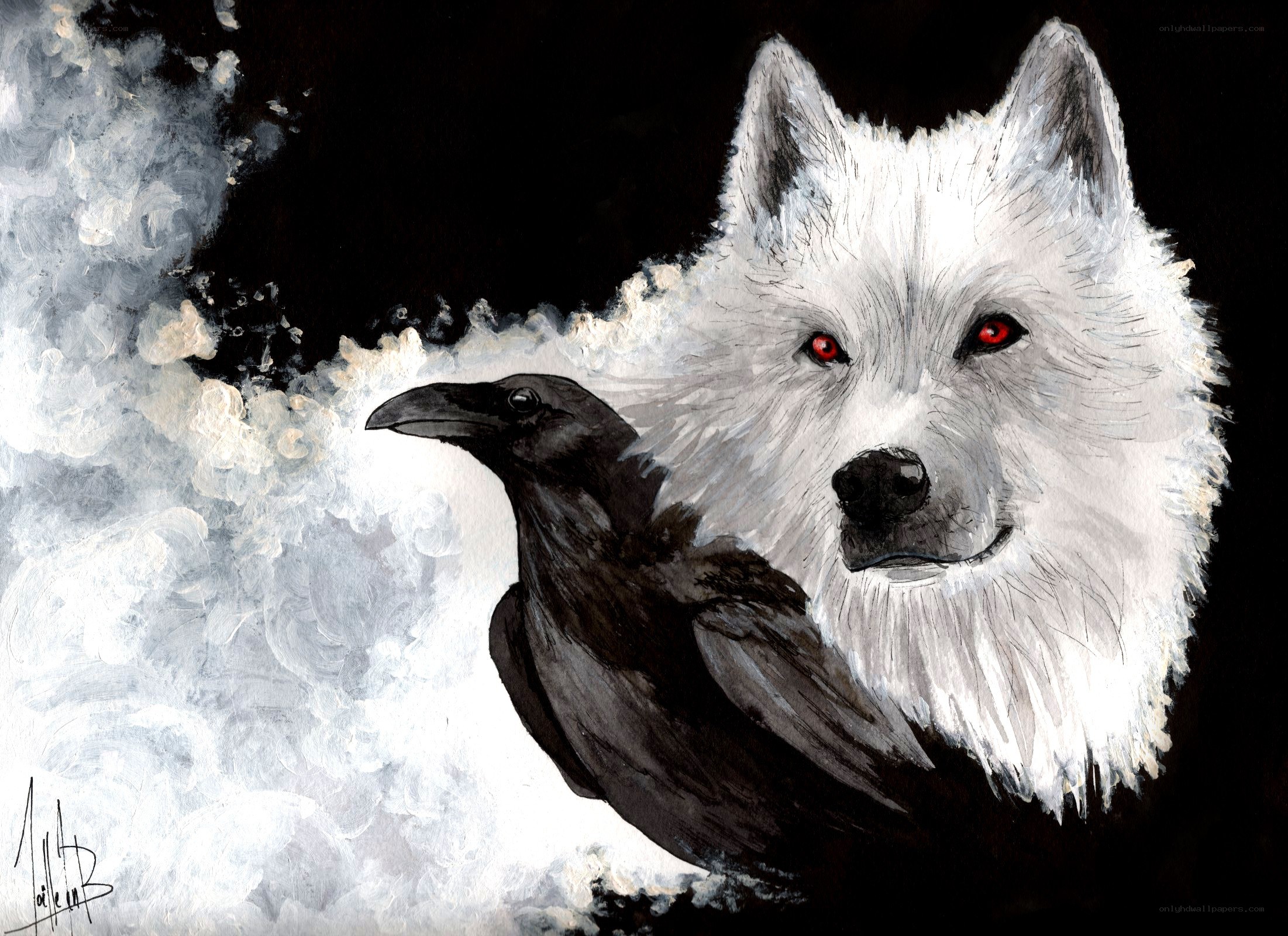 White wolf and black raven