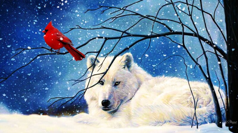 White Wolf and Cardinal