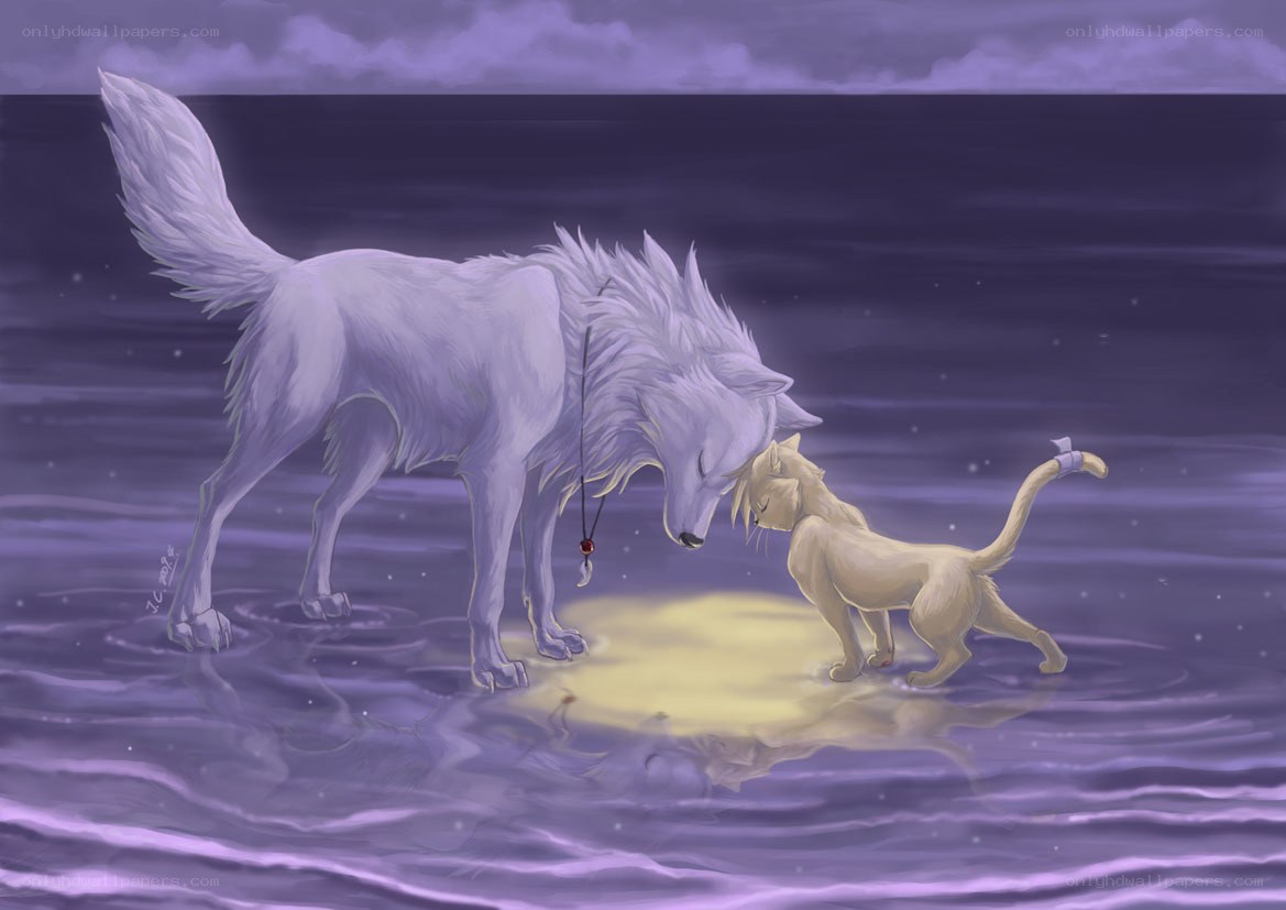 White wolf and cat by water