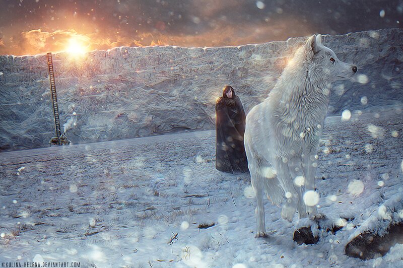 White Wolf and Cloaked Figure