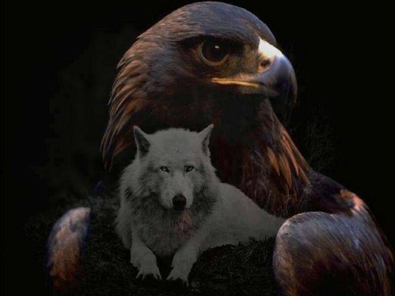 White Wolf and Eagle — Black