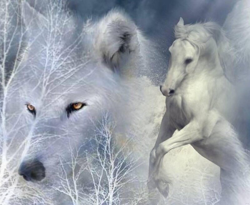 White Wolf and Horse — Dramatic