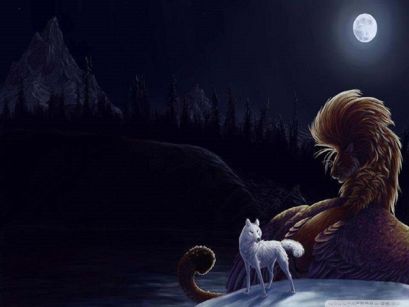 White Wolf and Lion — Black
