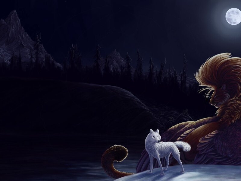 White Wolf and Lion — Dark Blue