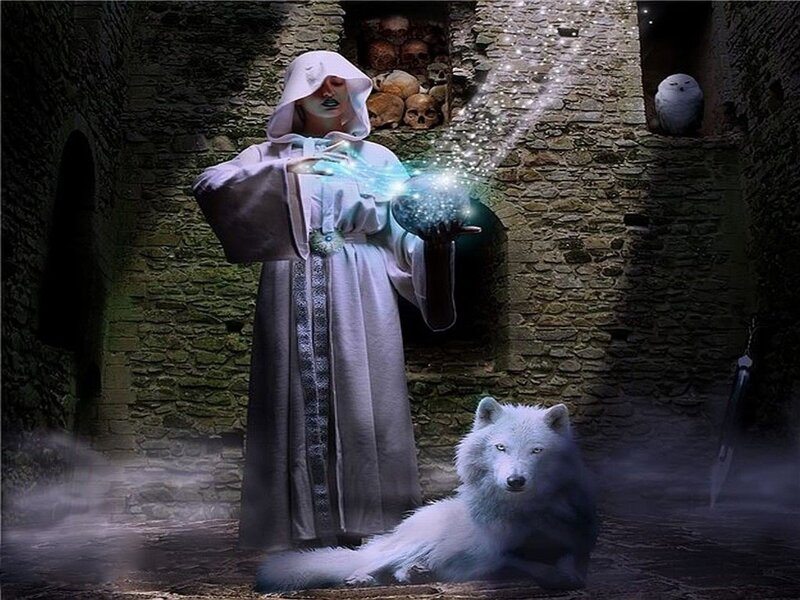 White Wolf and Mage