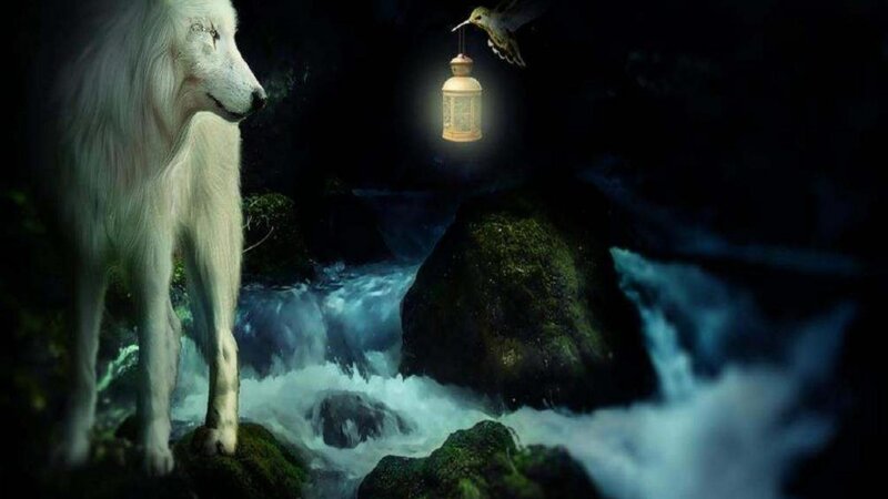 White Wolf by River