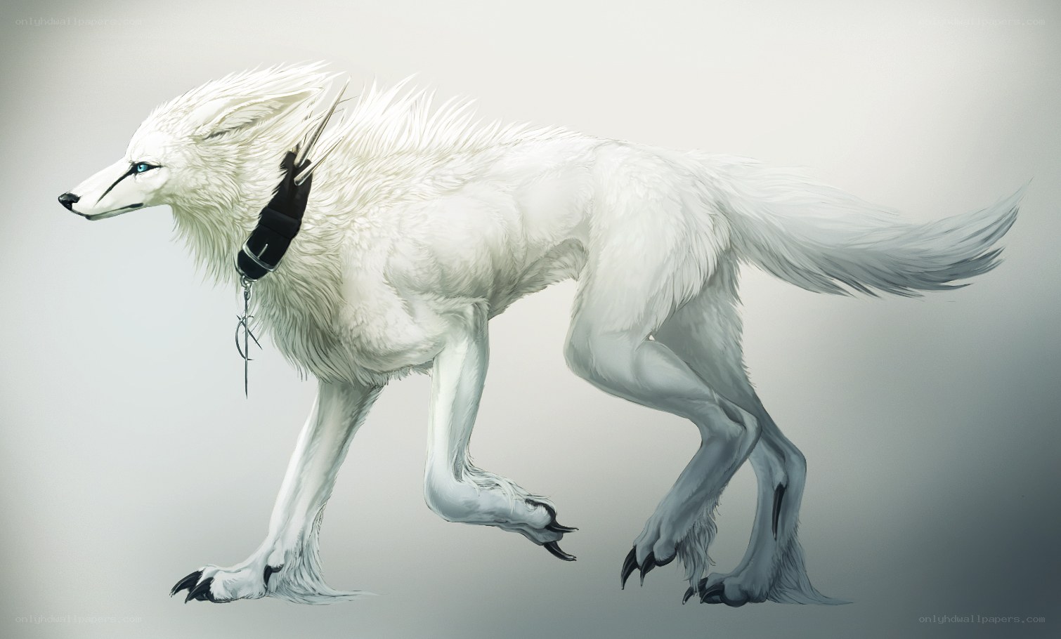 white wolf creature