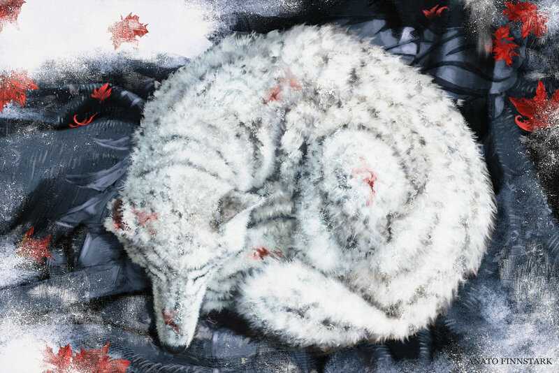 White Wolf Curled Up — Melancholic