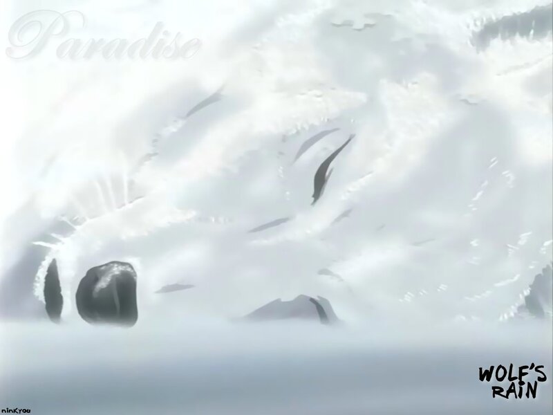 White Wolf Face — Serene