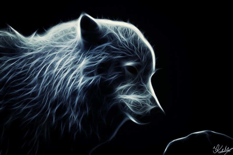 White Wolf Head — Black, Dramatic