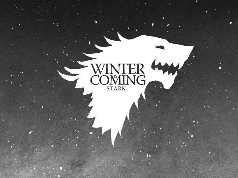 White Wolf Head — Black, Dramatic, Winter