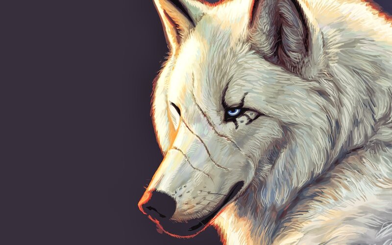 White Wolf Head — Dramatic, Digital Art, Blue Eyes, Dark Background