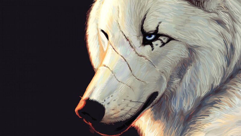 White Wolf Head — Dramatic, Digital Art, Blue Eyes