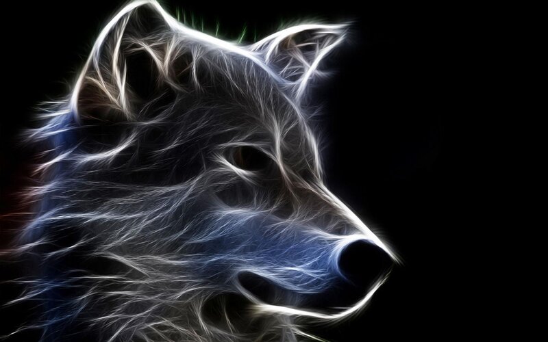 White Wolf Head — Dramatic, Digital Art