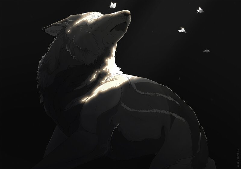 White Wolf Howling — Black, Dramatic, Night, Digital Art, Butterflies