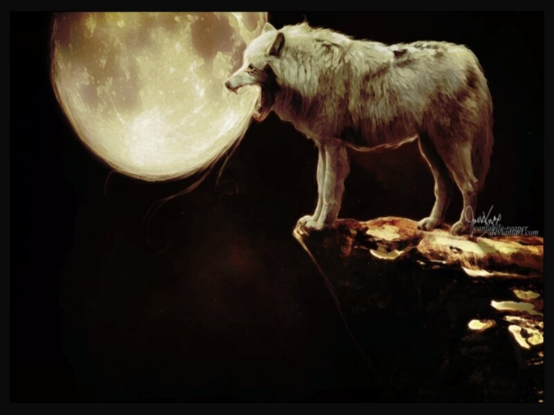 White Wolf Howling — Black, Dramatic, Night
