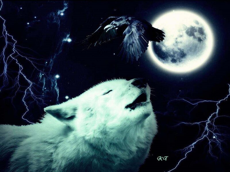 White Wolf Howling — Black, Dramatic