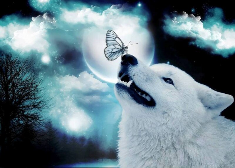 White Wolf Howling — Blue, Dramatic, Night, Digital Art, Butterfly