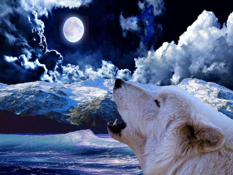 White Wolf Howling — Blue, Dramatic, Night, Digital Art, Moon, Mountains