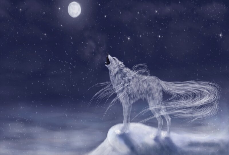 White Wolf Howling — Blue, Dramatic, Night, Digital Art, Moon, Stars