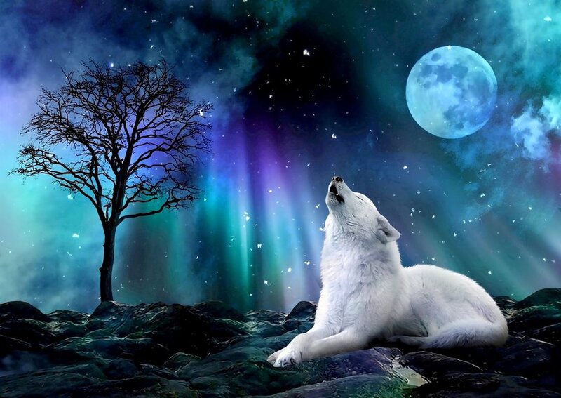 White Wolf Howling — Blue, Dramatic, Night, Digital Art, Moon, Tree