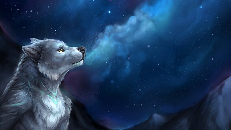 White Wolf Howling — Blue, Dramatic, Night, Digital Art, Stars