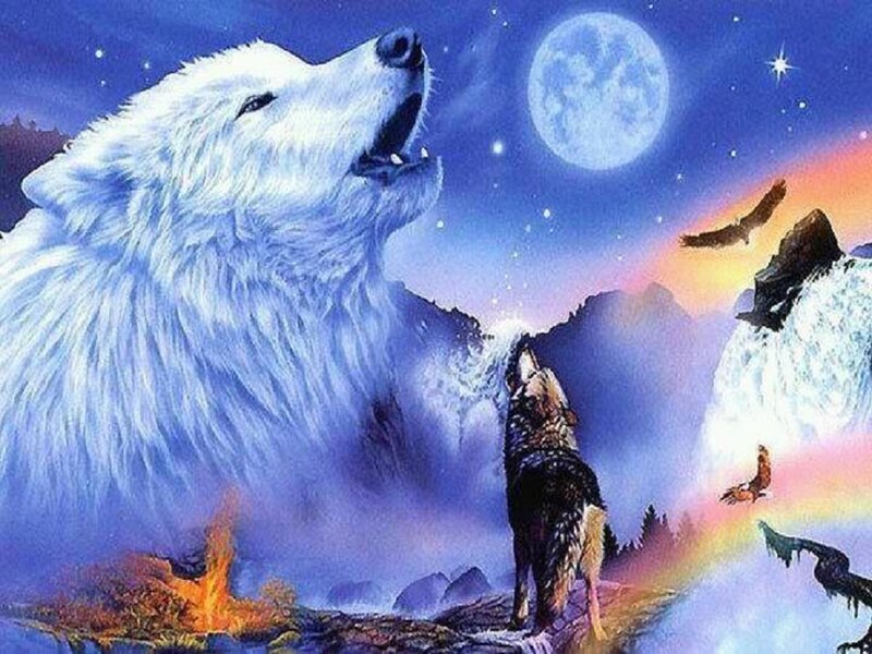 White Wolf Howling — Blue, Dramatic, Night