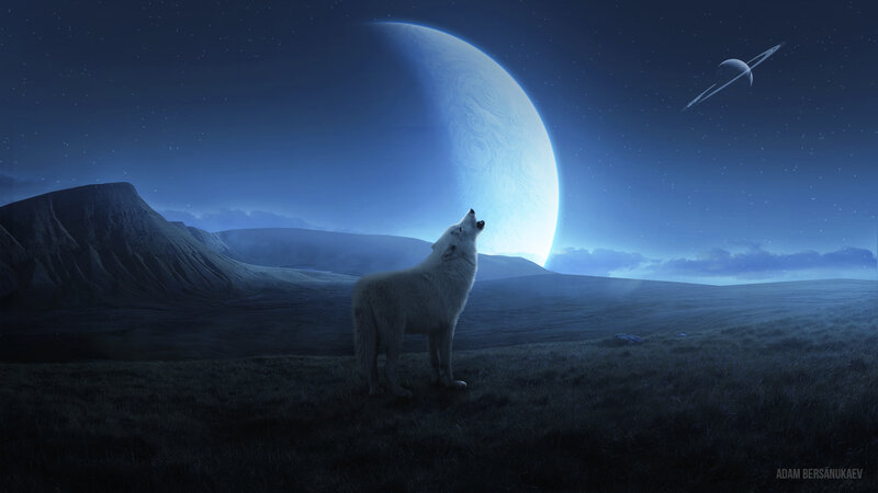 White Wolf Howling — Blue, Serene, Night, Digital Art