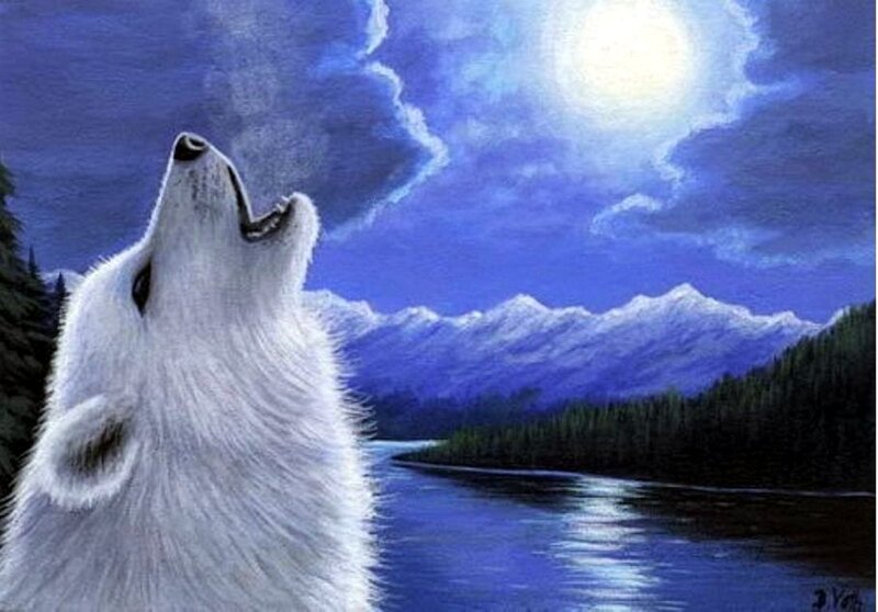 White Wolf Howling — Blue, Serene, Night, Painting
