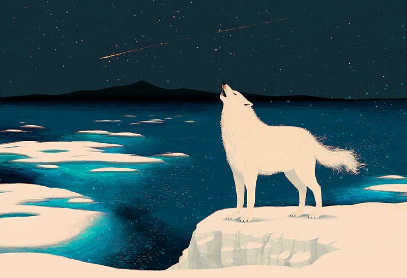 White Wolf Howling — Blue, Serene, Night