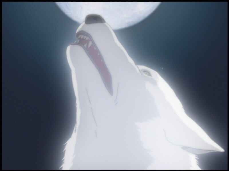 White Wolf Howling — Dramatic, Night, Anime