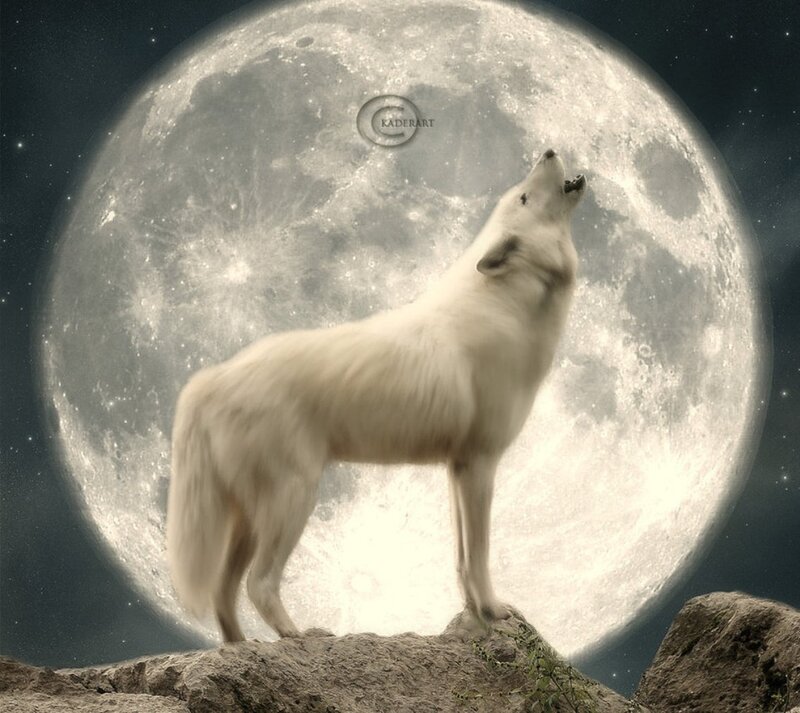 White Wolf Howling — Dramatic, Night, Digital Art, Moon, Rocks