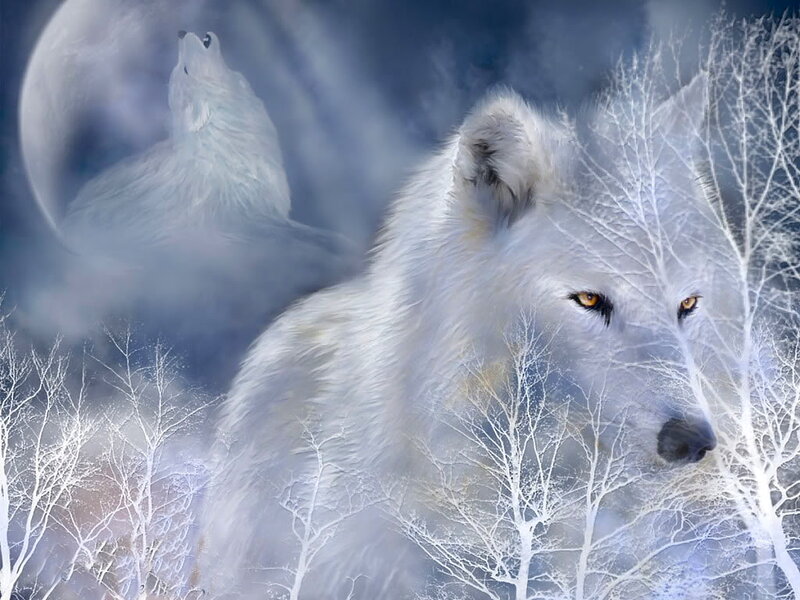 White Wolf Howling — Dramatic, Night, Digital Art, Moon