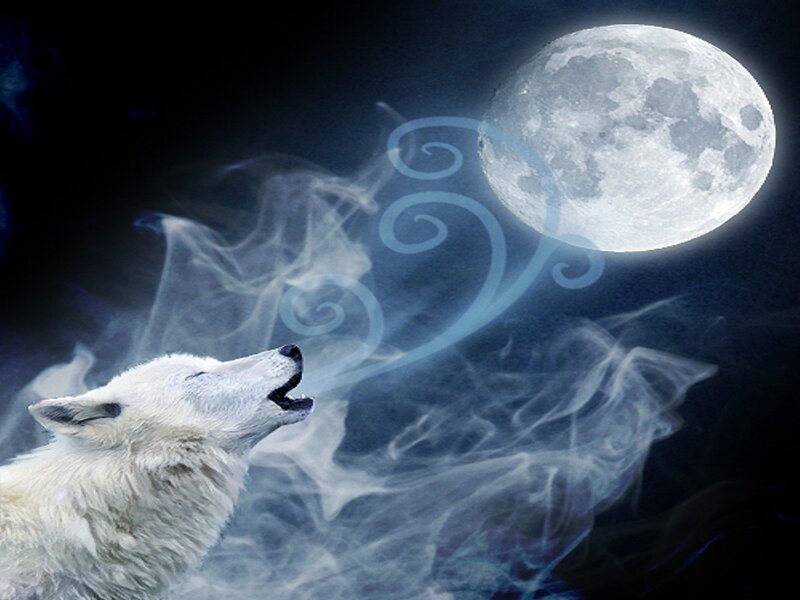 White Wolf Howling — Dramatic, Night, Digital Art