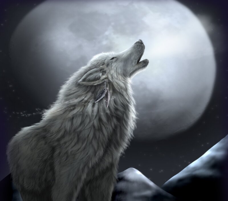 White Wolf Howling — Gray, Dramatic, Night, Digital Art, Moon, Stars