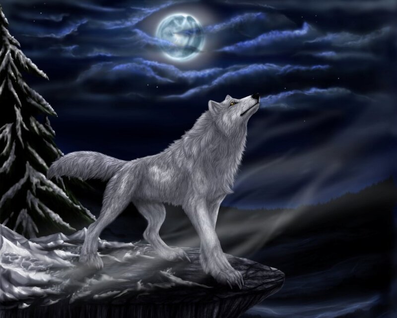 White Wolf Howling — Gray, Dramatic, Night, Digital Art