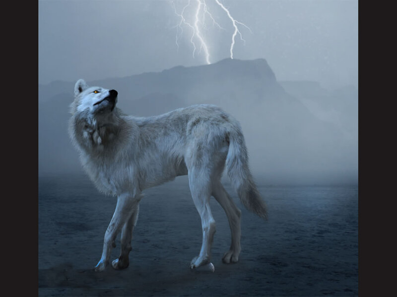 White Wolf Howling — Gray, Dramatic