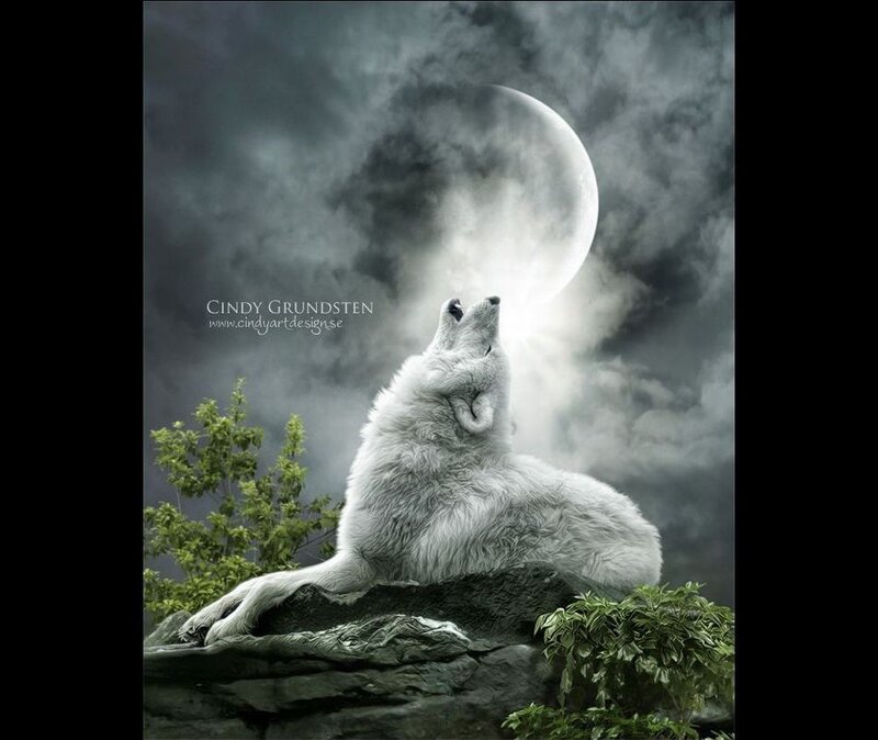 White Wolf Howling — Gray