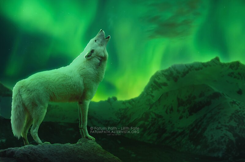 White Wolf Howling — Green, Dramatic
