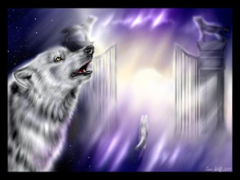 White Wolf Howling — Purple, Dramatic