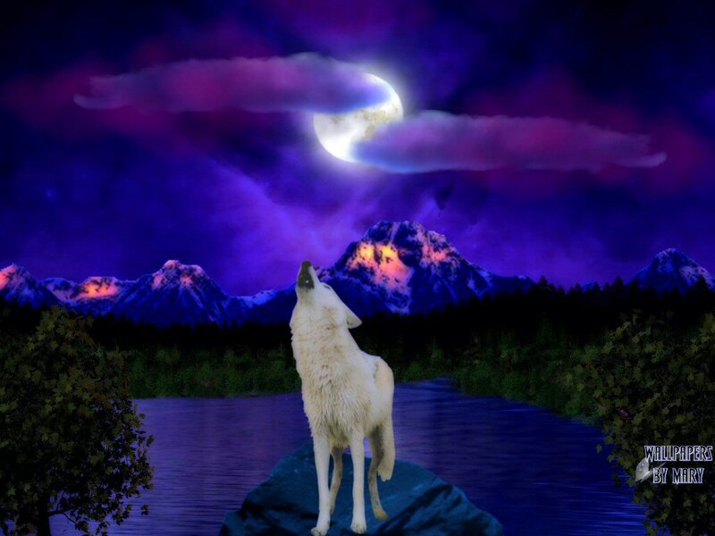 White Wolf Howling — Purple