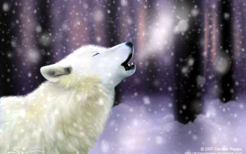 White Wolf Howling — Serene, Winter, Digital Art, Snow, Forest