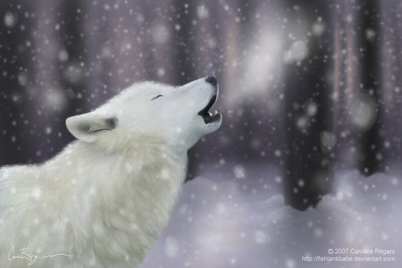 White Wolf Howling — Serene, Winter, Digital Art, Snow